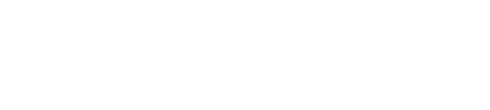 Steelerz